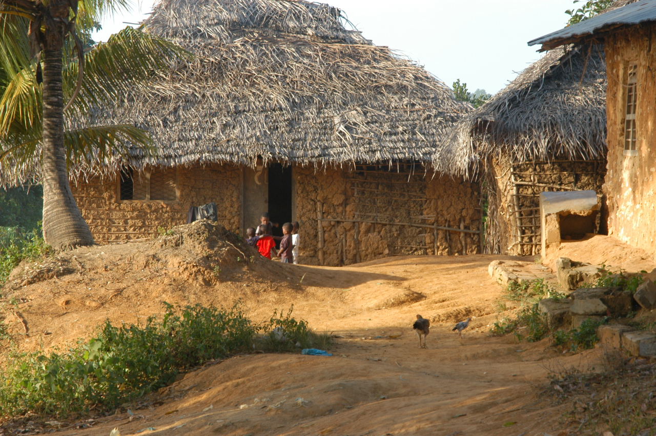 houses2.jpg