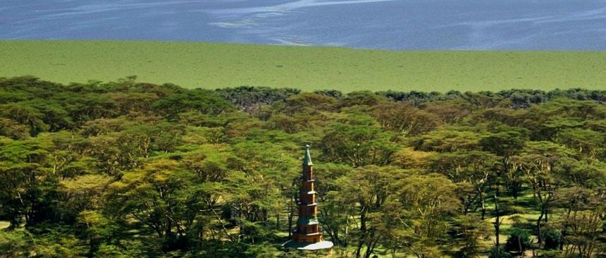 hippo-point-dodo-s-tower.jpg