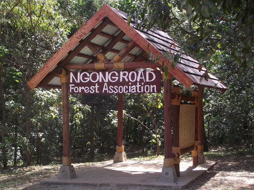 Ngong Forest Sanctuary - UpKenya