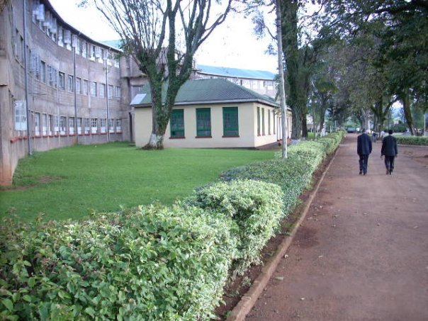 Kisii_high_life.jpg