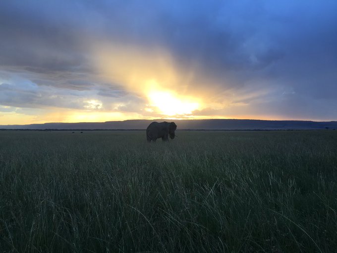 DDLbFX3XkAAVKty.jpg:small