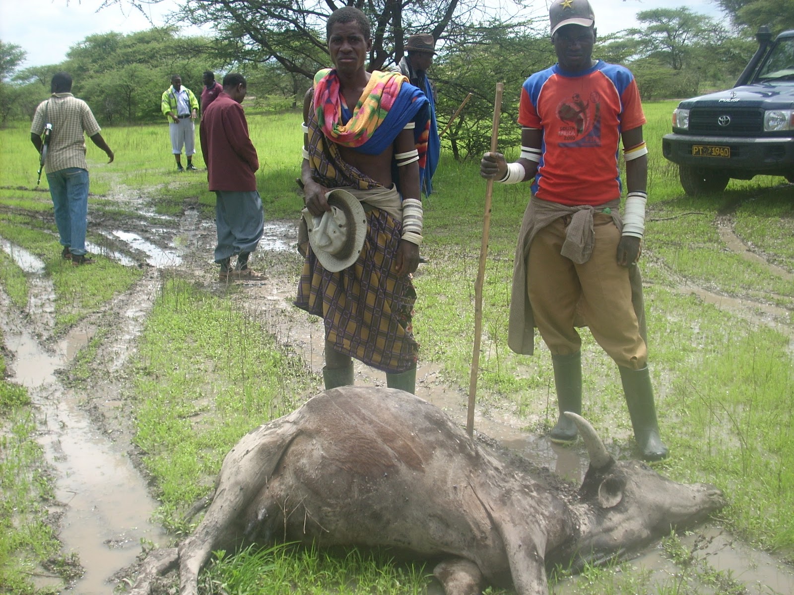 MZOGA+2.JPG