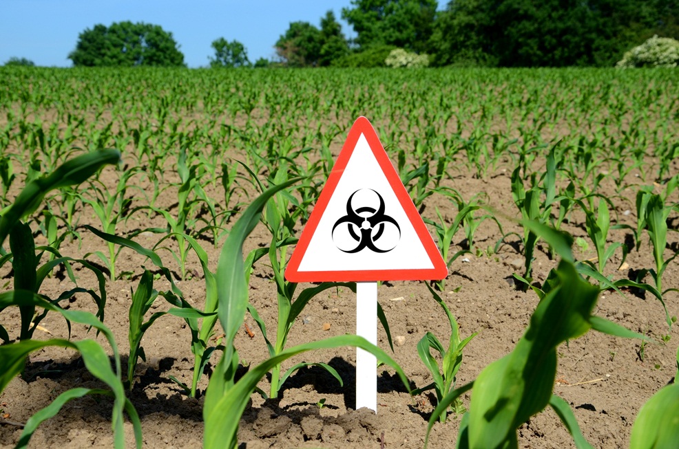 fotolia_66435874_subscription_xxl-1000.jpg