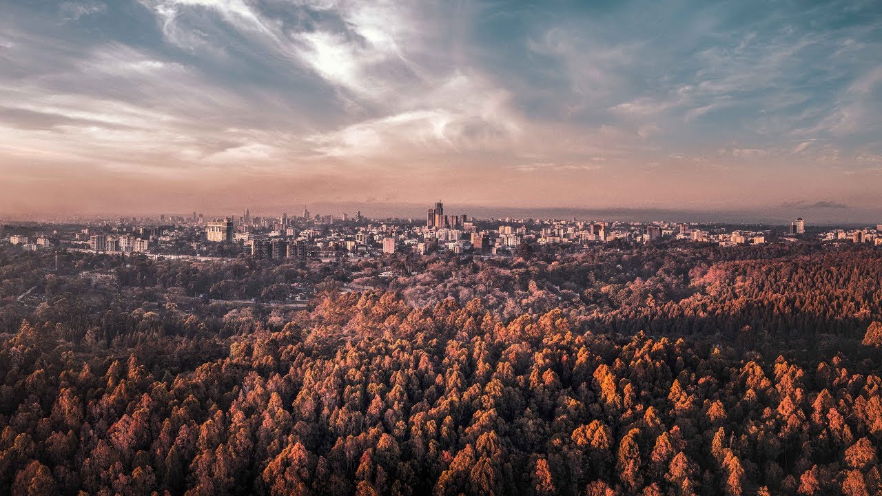 Karura Forest || Brand Film || 10th Anniversary FKF Management - YouTube