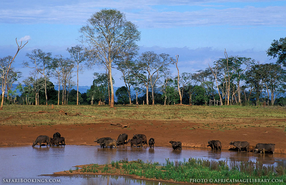 Aberdare_National_Park_009.jpg