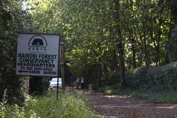 Ngong Forest | Kenya nairobi, Africa destinations, Kenya