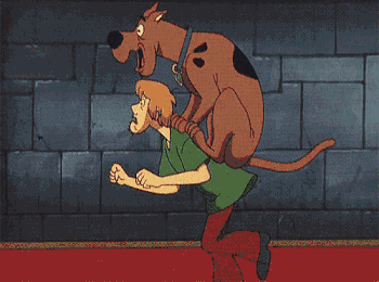 404274_v1.gif
