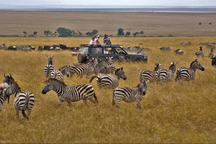ExploreAmor-Serengeti-National-Park-Tanzania.jpg