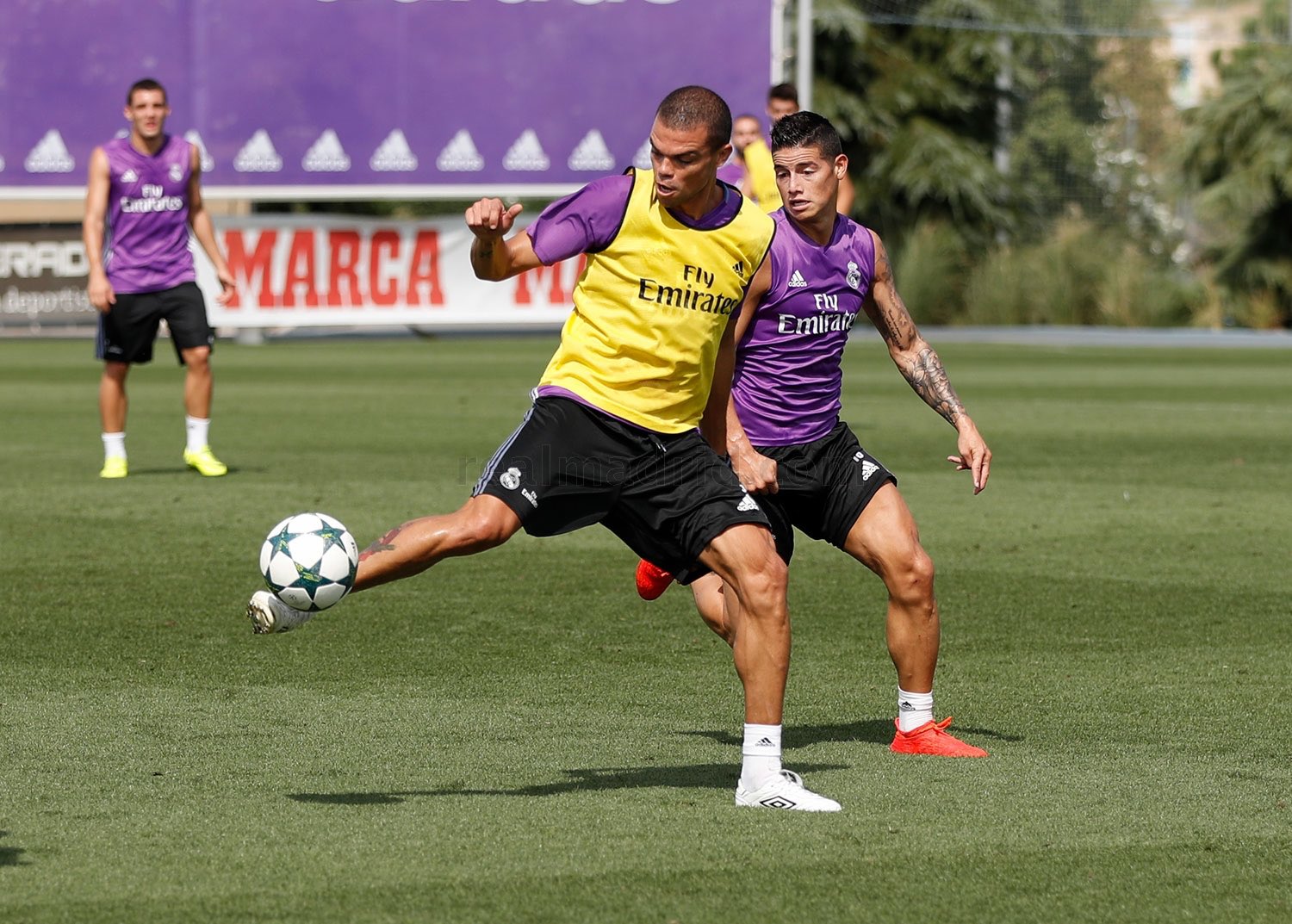 CsJyo2zXgAAdctS.jpg:large