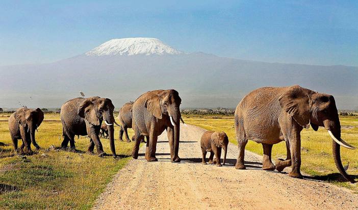 amboseli-park.jpg