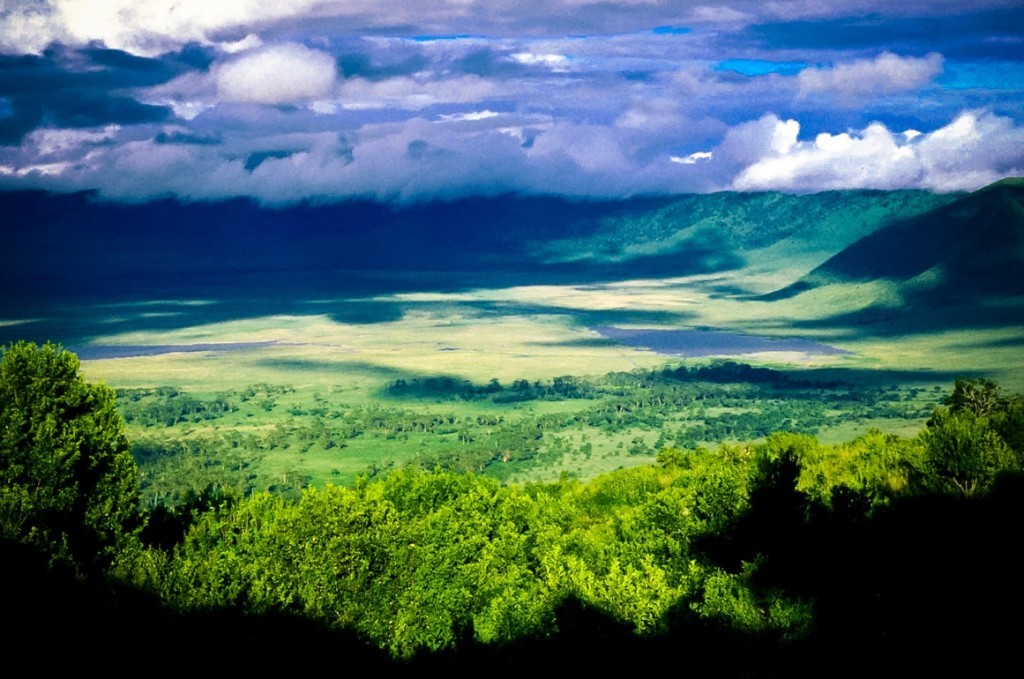 Ngorongoro-Crater-1024x679.jpg