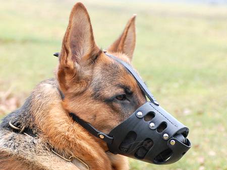 GSD-leather-dog-muzzle-m11_LRG.jpg
