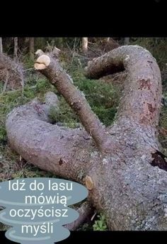 c32a31f3129a6c47eea0f04fb08a47af.jpg