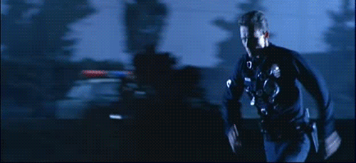 P1WD.gif