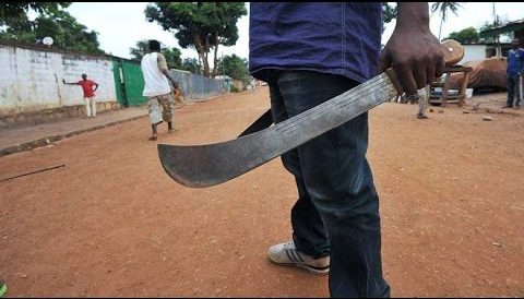 machete-cutlass.jpg