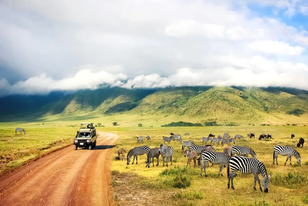 Truck driving through a nature preserve in Africa with fog-capped mountains