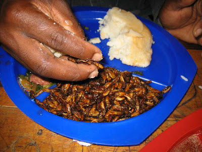 db_zambian-food-nshima-nsima-ugali-sadza07inswa1.jpg