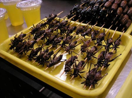 beijing_snacksonsticks_crickets.jpg