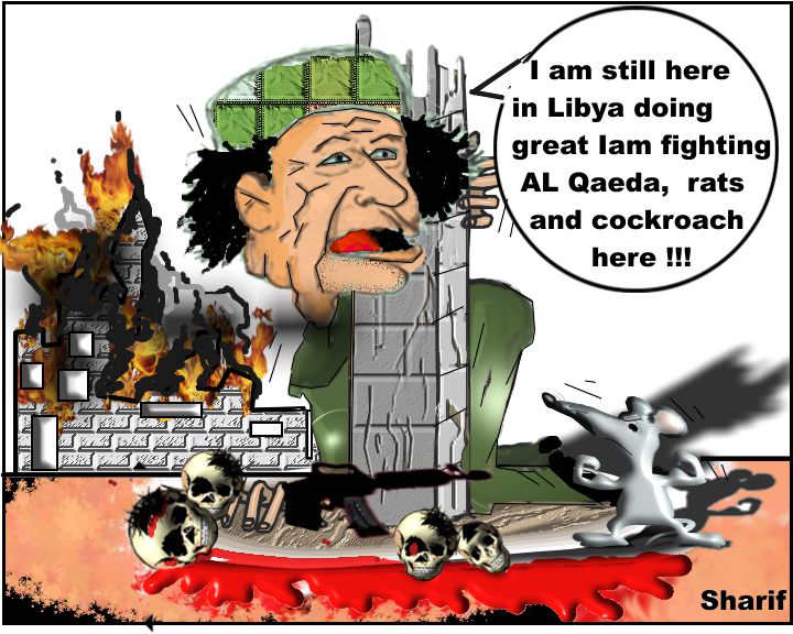 QADDAFI+STILL+IN+LIBYA.jpg