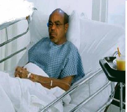 Meles+Zenawi+is+dead.jpg