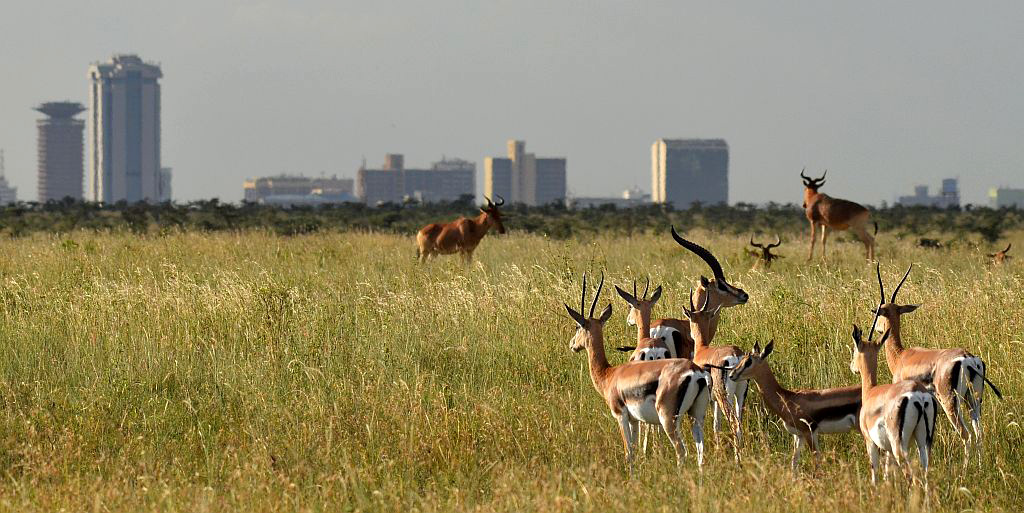 Nairobi+Kenya.jpg