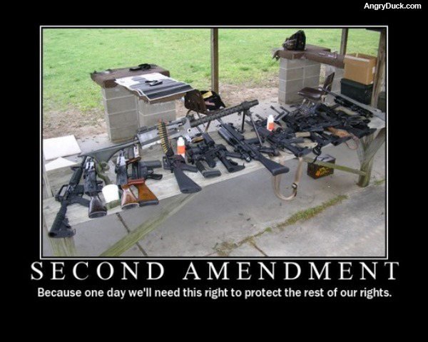 second_amendment0.jpg