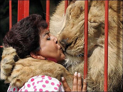 LionKiss.jpg