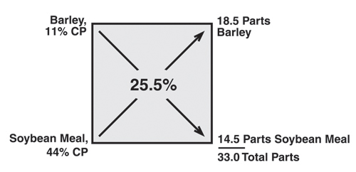 pearson-square.jpg