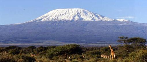 kilimanjaro_5101.jpg