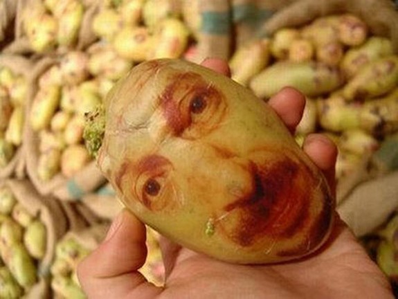 amazing-potato-art-02.jpg