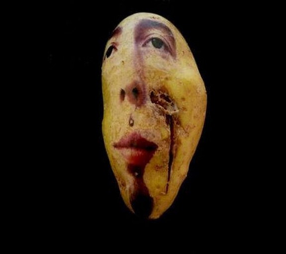 amazing-potato-art-06.jpg