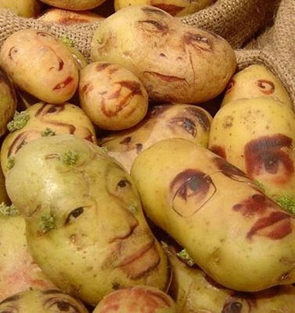 amazing-potato-art-07.jpg