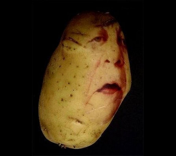 amazing-potato-art-08.jpg