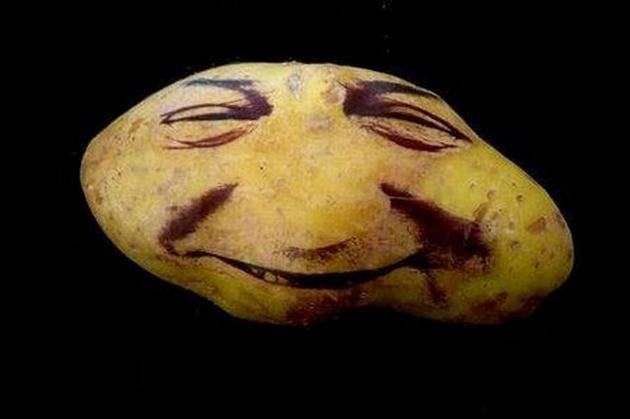 amazing-potato-art-10.jpg