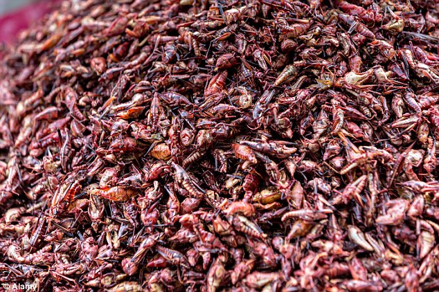 255B701D00000578-2940799-Spicy_grasshoppers_known_as_chapulines_on_sale_at_the_Benito_Jua-a-12_1423152217135.jpg