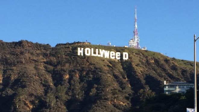 _93205197_hollyweed.jpg