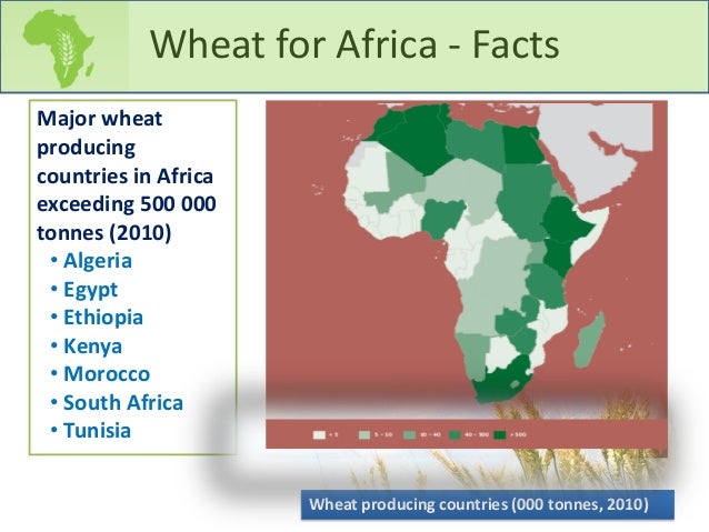 wheat-for-africa-3-638.jpg