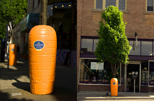 33-Cool-and-Creative-Ambient-Carrot-Wrap.jpg