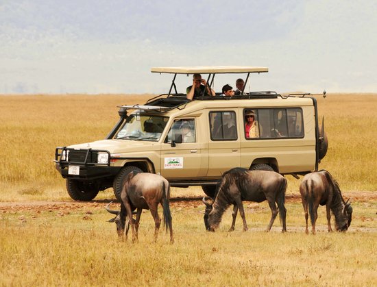 game-drive-in-serengeti.jpg