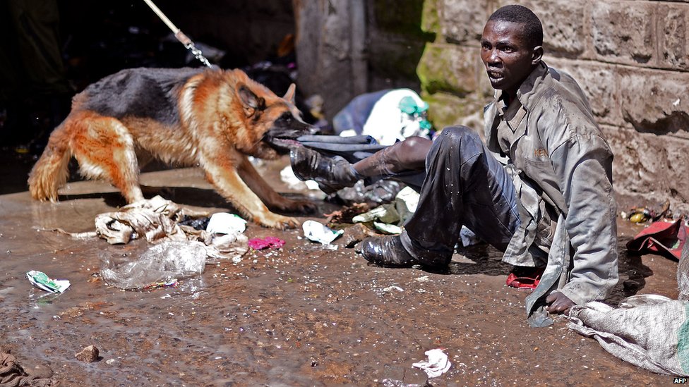 _64322791_08_kenya_dog_afp.jpg