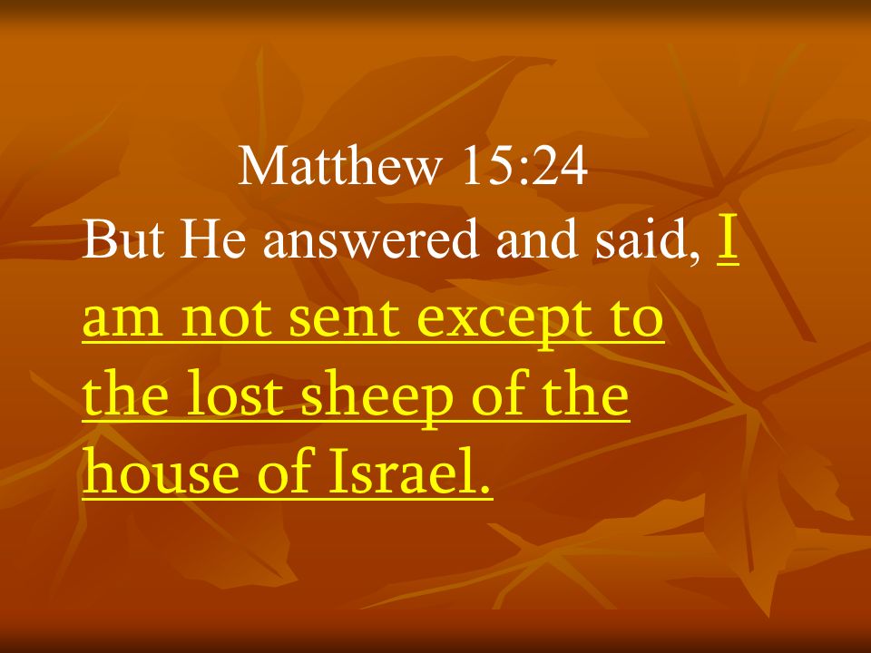 Matthew+15%3A24+But+He+answered+and+said%2C+I+am+not+sent+except+to+the+lost+sheep+of+the+house+of+Israel..jpg