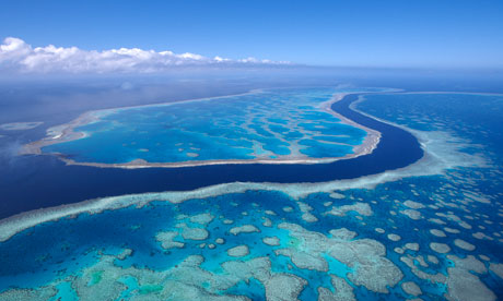 Great-Barrier-Reef-007.jpg