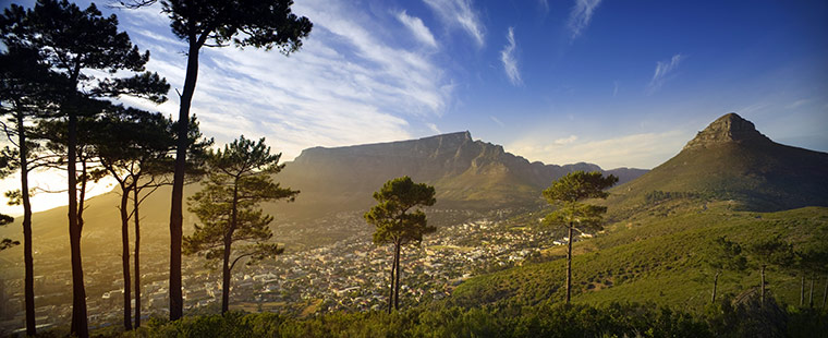 Table-Mountain-and-Cape-T-017.jpg