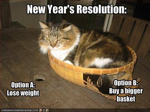 funny-new-year-s-resolutions.jpg