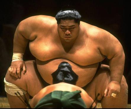 sumo-wrestler.jpg