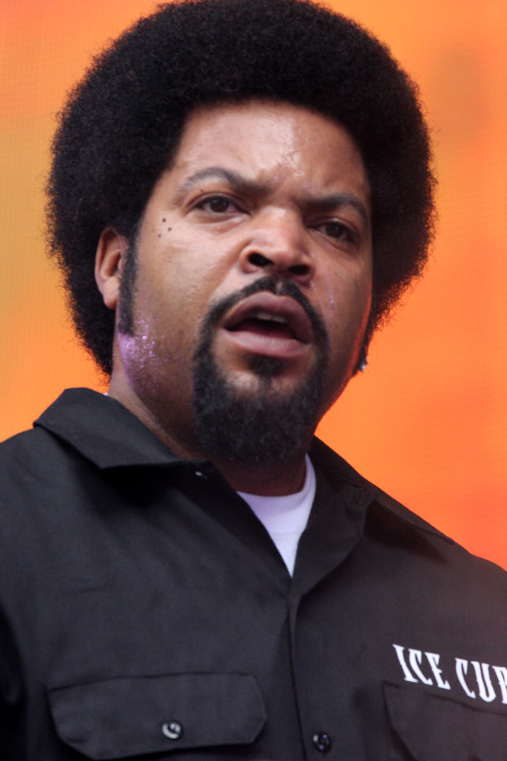 Ice_Cube_2012.jpg