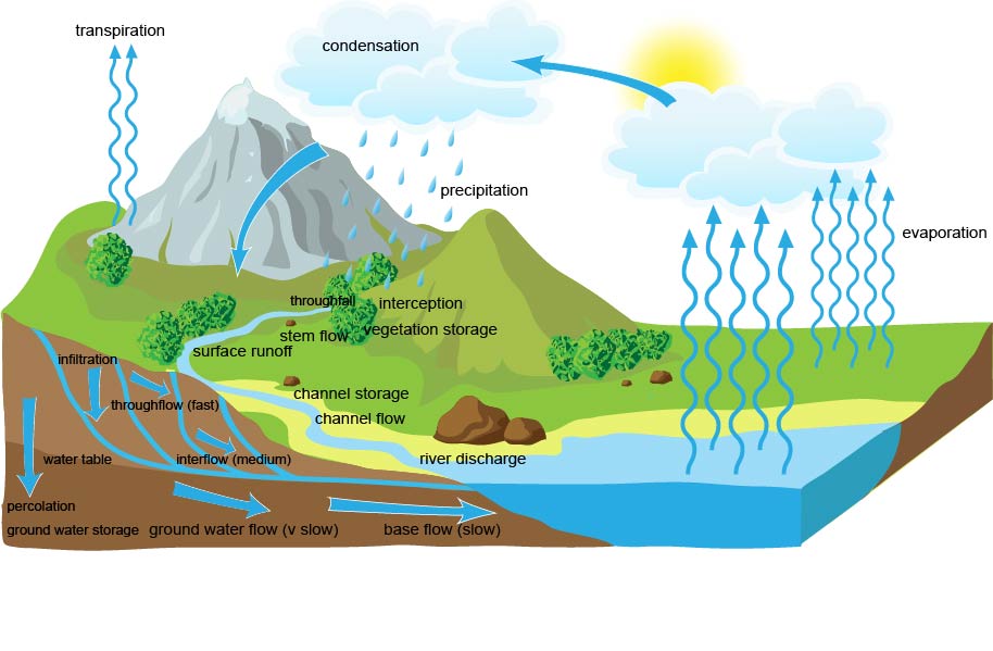 drainage-basin-system.jpg