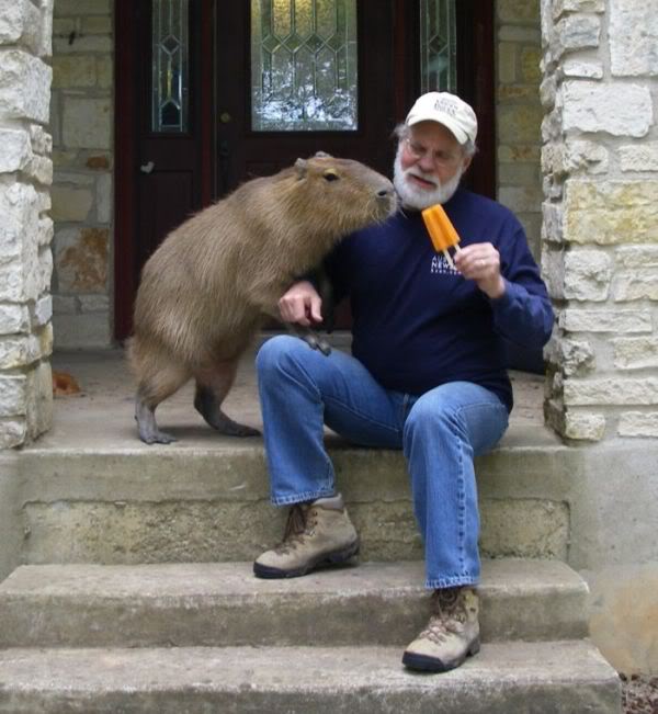 Capybara-Size.jpg