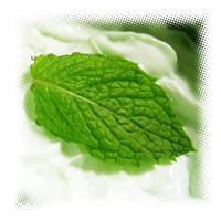 iStock_mintcream.jpg