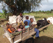 Pemba-Island-children-ox-cart-180.jpg